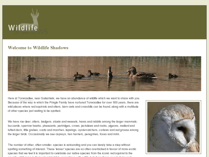 www.wildlifeshadows.com