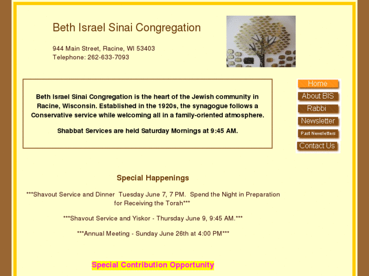 www.bethisraelsinai.com