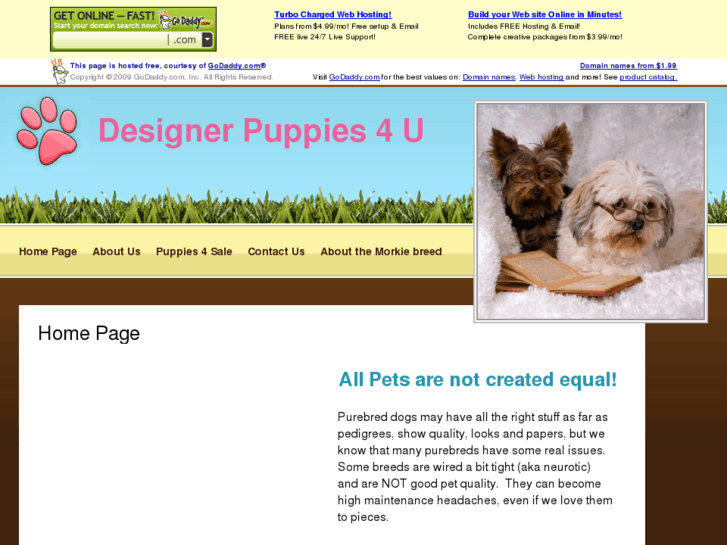 www.designerpuppies4u.com