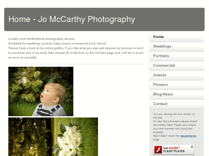 www.jomccarthy.com