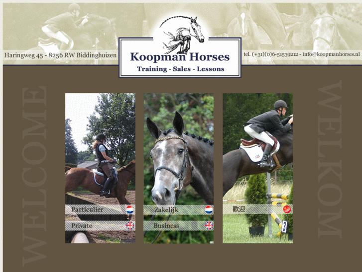 www.koopmanhorses.com