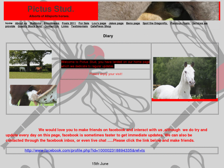 www.pictusstud.com