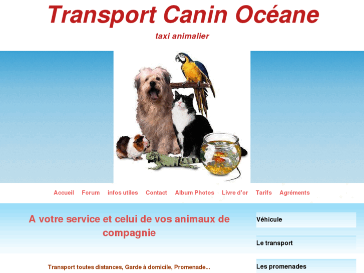 www.transportcaninoceane.com