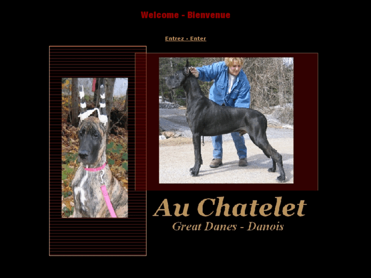 www.auchatelet.com