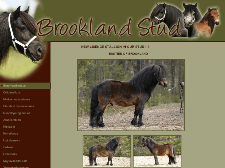 www.brooklandponies.com