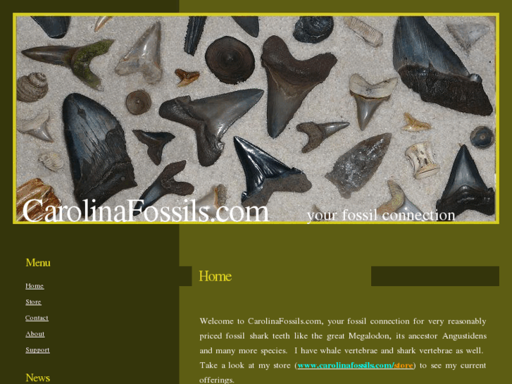 www.carolinafossils.com