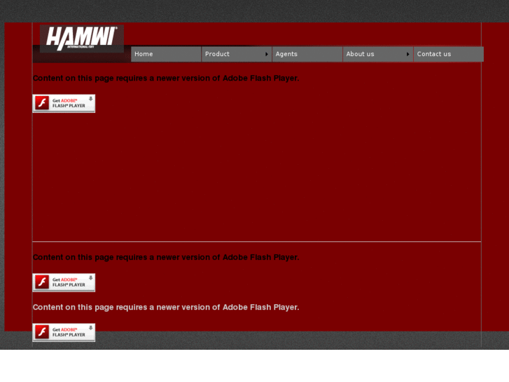 www.hamwi-int.net