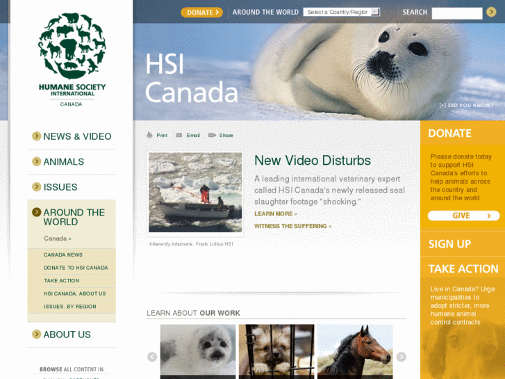 www.hsicanada.ca