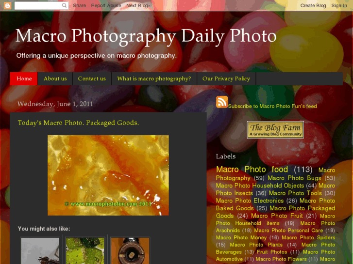 www.macrophotofun.com