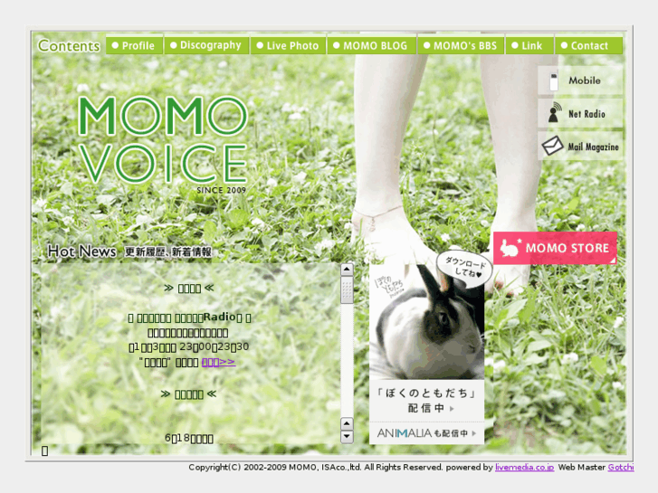 www.momovoice.com