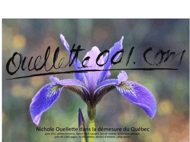 www.ouellette001.com