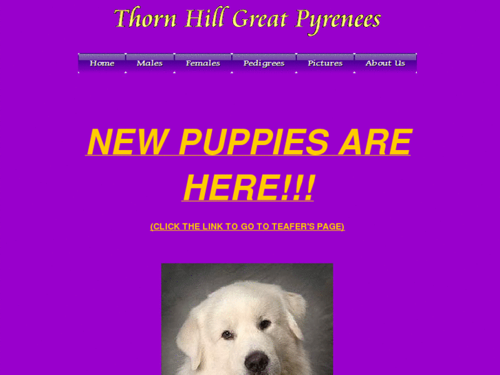 www.thornhillpyrs.com