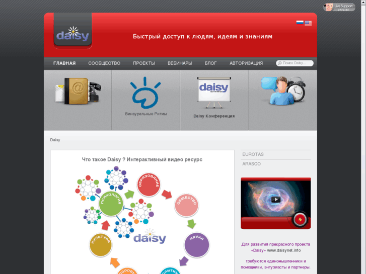 www.daisynet.info