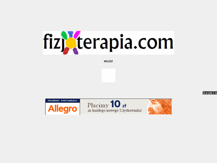 www.fizjoterapia.com