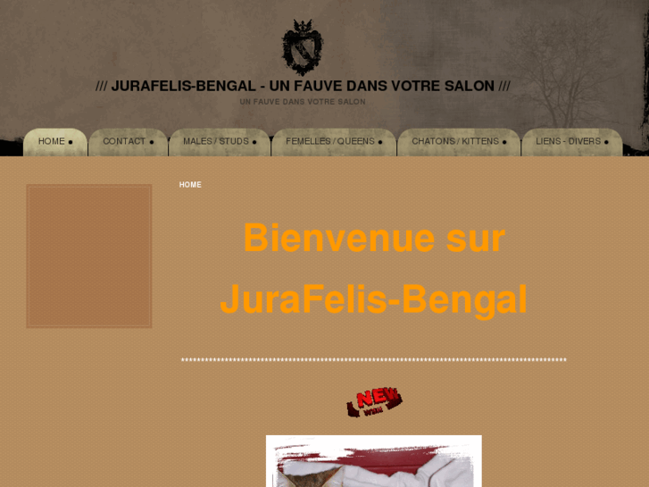 www.jurafelis-bengal.ch