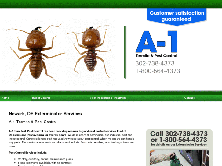 www.a1termiteandpestcontrol.com