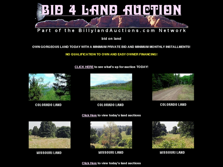 www.bid4landauction.com