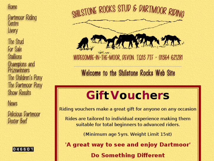 www.dartmoor-ponies.com