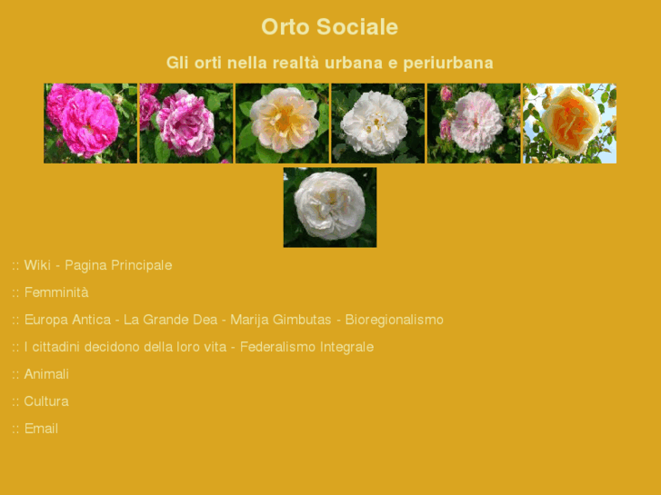 www.ortosociale.org