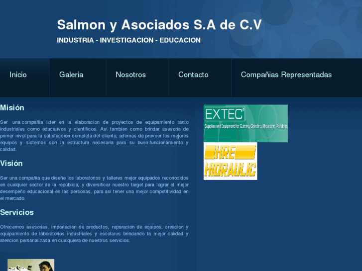 www.salmonyasociados.com