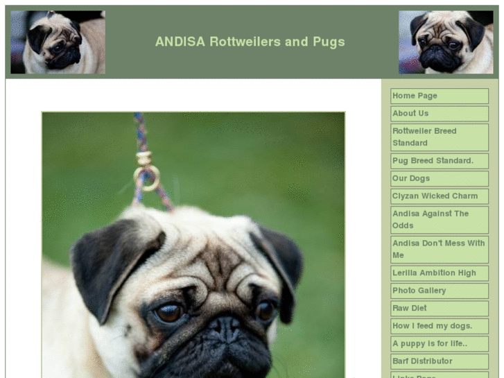 www.andisarottweilerpugs.com