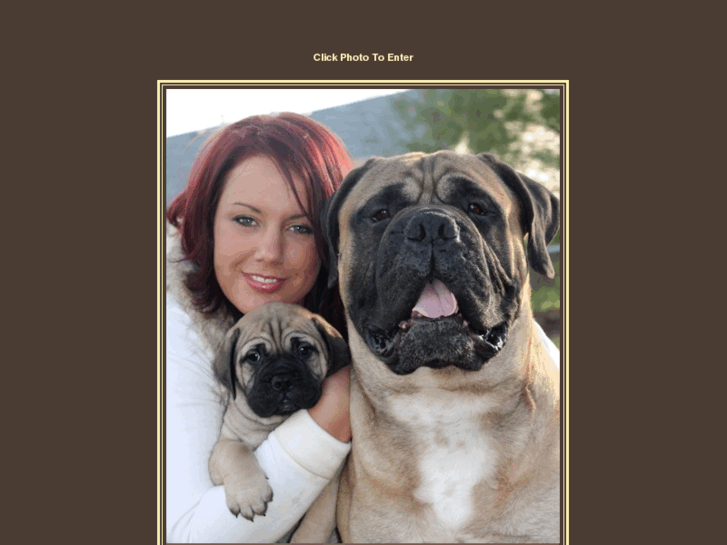 www.dalprimobullmastiffs.com