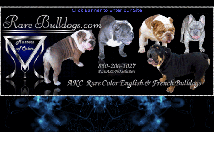 www.englishbulldogmini.com