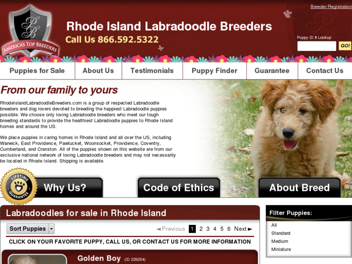 www.rhodeislandlabradoodlebreeders.com