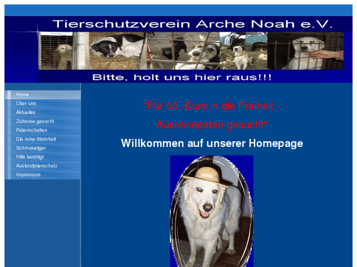 www.tierschutzverein-arche-noah.de