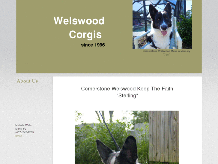 www.welswoodcorgis.com