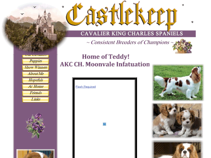 www.castlekeepcavaliers.com