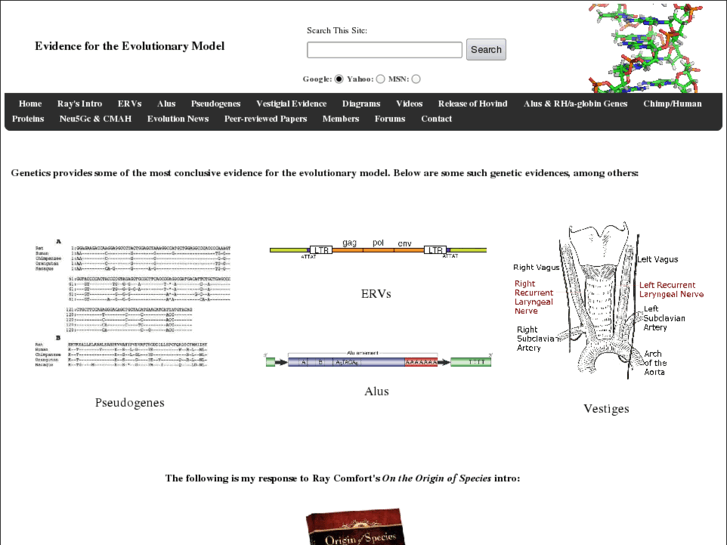 www.evolutionarymodel.com