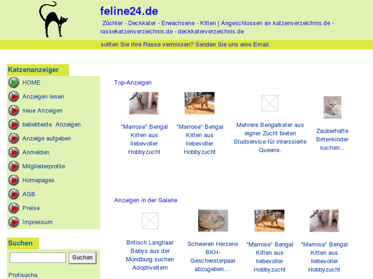 www.feline24.de