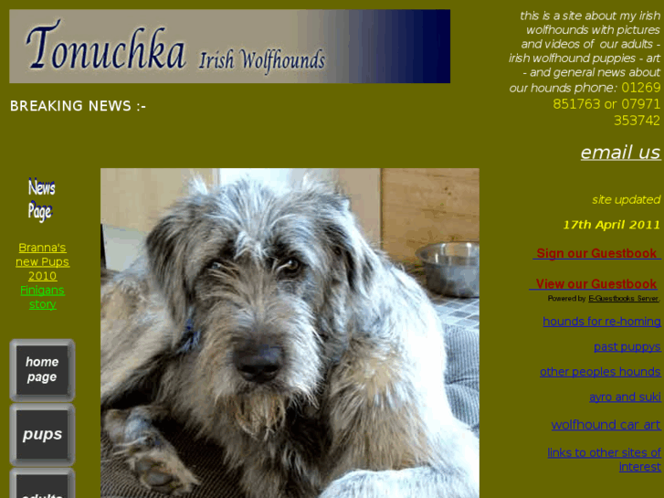 www.irishwolfhound.co.uk