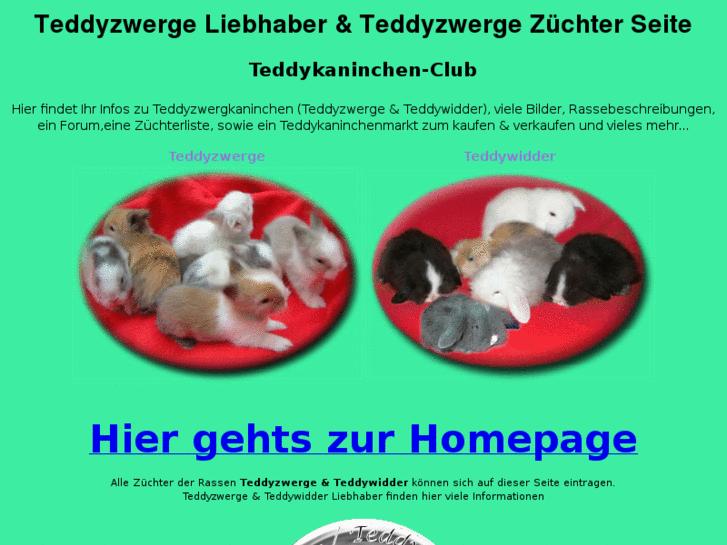 www.teddyzwerge-club.de