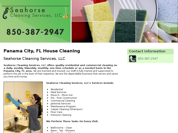 www.cleaningservicepanamacityfl.com