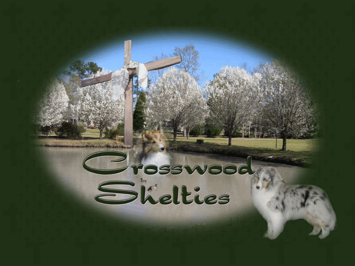 www.crosswoodshelties.com