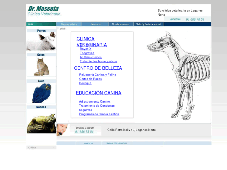 www.drmascota.es