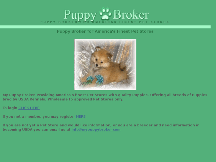 www.mypuppybroker.com