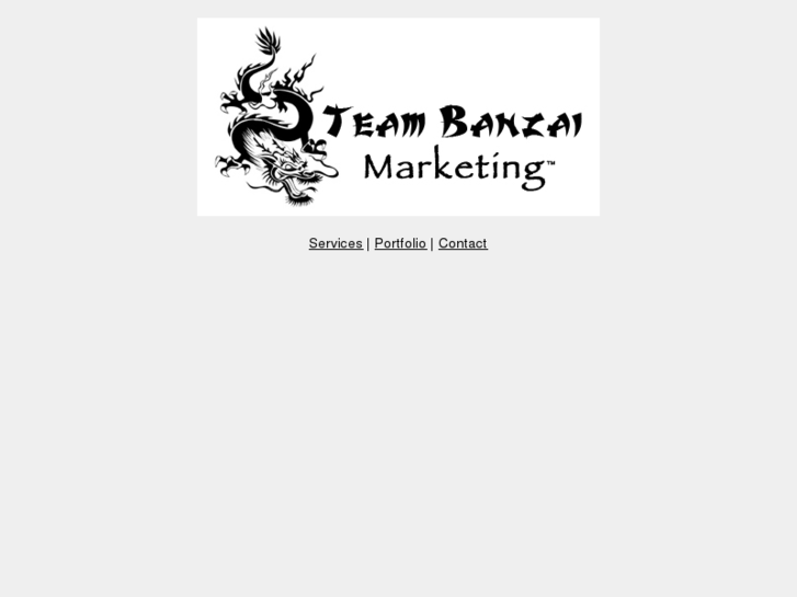 www.teambanzaimarketing.com