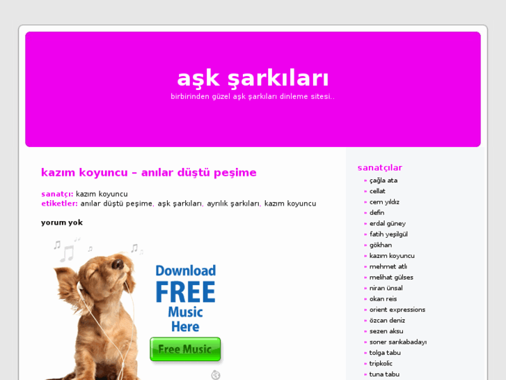 www.asksarkilaridinle.com