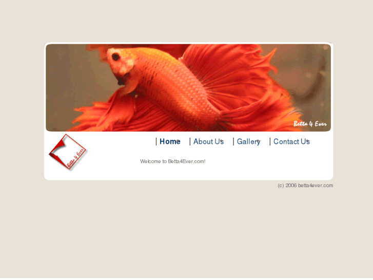 www.betta4ever.com