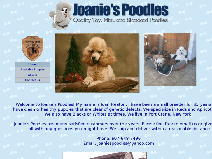 www.joaniespoodles.com