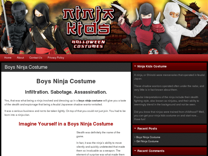 www.ninjakidscostume.com