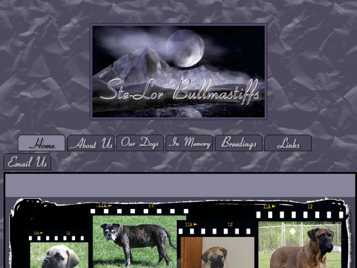 www.stelorbullmastiffs.com