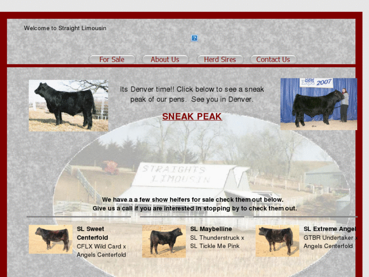 www.straightlimousin.com