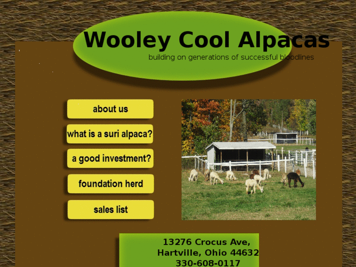 www.wooleycoolalpacas.com