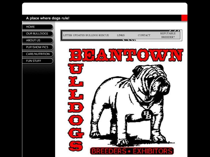 www.beantownbulldogs.com