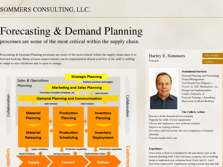 www.demandplanningconsulting.com