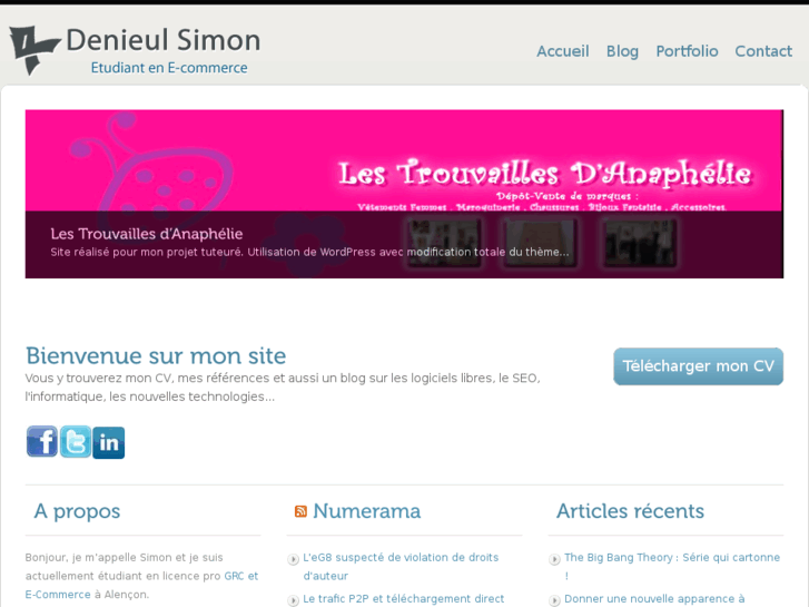www.denieul-simon.com